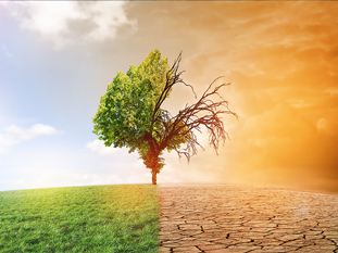 Klimatické zmeny spôsobujú vrásky na čele občanom aj vodárom